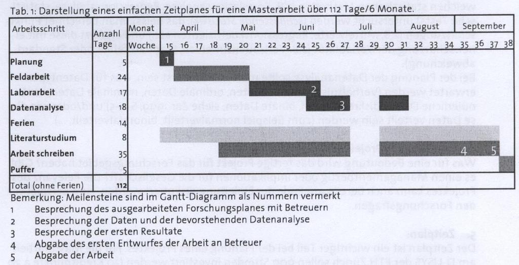 Der Zeitplan (aus: Bigler, Ch. & Bugmann, H.