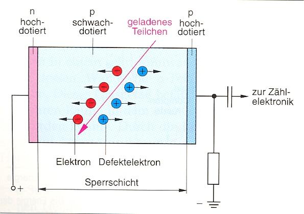 htm vor Kontakt Kontakt DieKreisesymbolisieren bewegliche Majoritätsladungsträger (Elektronen (-) und Löcher (+)), die eckigen Figuren stellen Atomrümpfe dar. nach Kontakt RLZ Raumladungszone bzw.