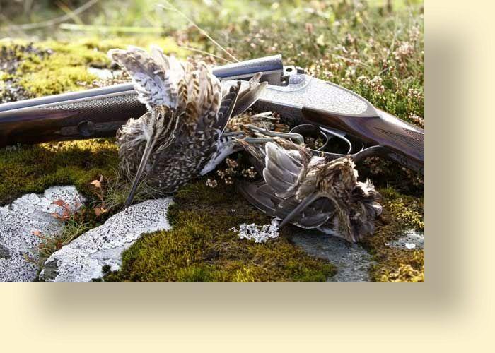 Die Meldungen aus unseren Revieren über die Schwarzwildbestände lassen auf eine gute Drücksaison hoffen. Wir wünschen allen Jägern spannende und erfolgreiche Jagdtage!