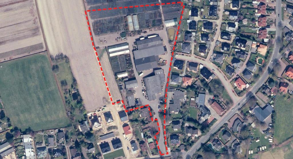 Planungsziele Plangebiet / Luftbild Planungsziele Nachnutzung der Baumschule Schaffung von Wohnraum Errichtung einer KiTa Gesunde