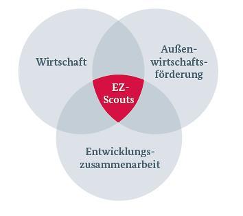 Das EZ-Scout Programm Die EZ-Scouts sind Experten im Auftrag des Bundesministeriums für wirtschaftliche Zusammenarbeit und Entwicklung (BMZ).