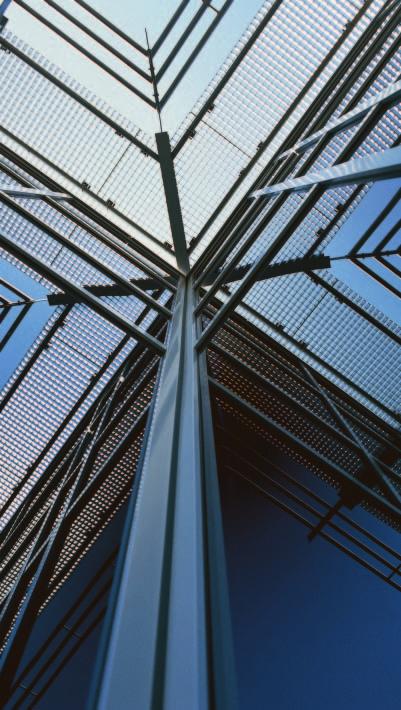 Der ästhetische Vorteil 13 Gustave Eiffel oder Walter Gropius haben bereits den Beweis angetreten, daß man mit Stahl in der Architektur eigenwillige Lösungen erzielen kann.