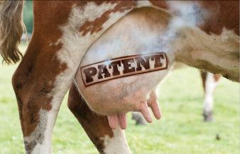 EP 1 330 552 Patent auf Züchtung von Milchkühen Patentiert wurden: - ein Gen für höhere Milchleistung und veränderten Fettgehalt -