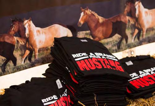 Das Ziel: Mustangs in Europa bekannt zu machen und mehr Wissen rund um artgerechtes Training, Haltung, Ernährung und Gesundheit zu vermitteln.