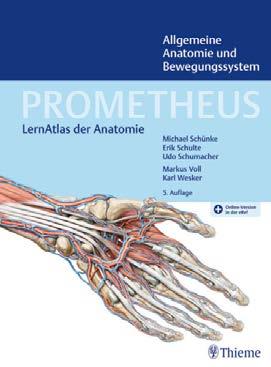 Michael Schünke Erik Schulte Udo Schumacher PROMETHEUS Allgemeine Anatomie und Bewegungssystem LernAtlas der Anatomie ISBN: 9783132420830 zum Bestellen hier