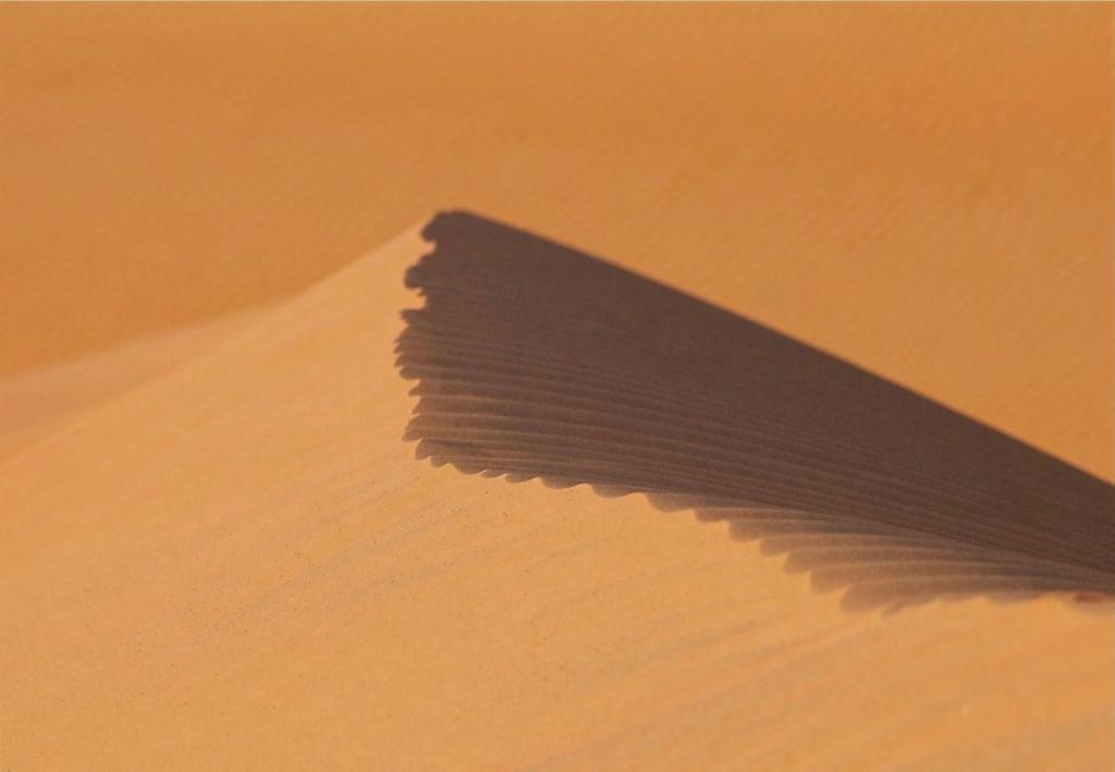 Desert dune 90x130 cm