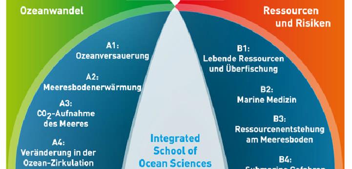 Der Kieler Exzellenzcluster Ozean der Zukunft Das Netzwerk Mehr als 240 Wissenschaftler aus 7 Fakultäten der Christian-Albrechts-Universität zu