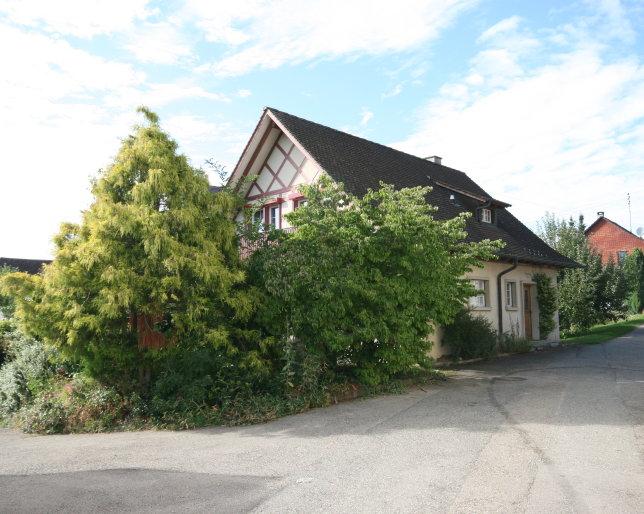 1 Süd-Ansicht Gartensitzplatz mit Chreminée Ost-Ansicht Hemishofen