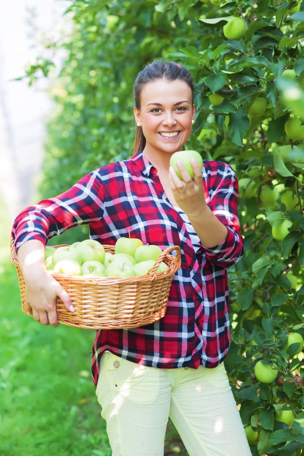 OBSTBAU 2019 Wir