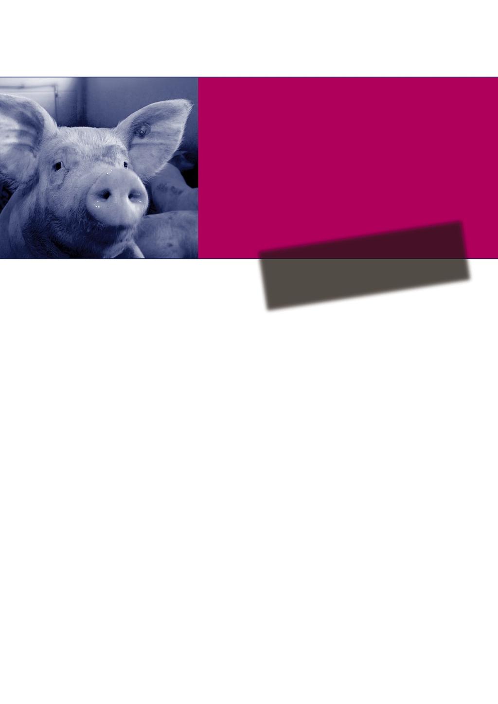 FORSCHUNG für Schweinegesundheit Fragen zum Schwein Ileitis überarbeitete