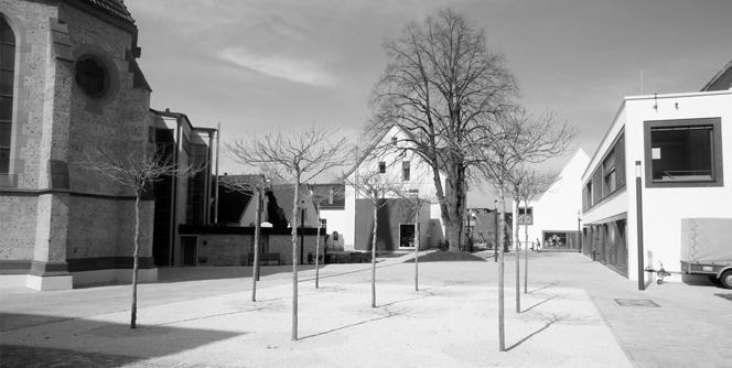 Von den Planern bereits vorgegeben war ein Quartier mit neun kastenförmig geschnittenen Bäumen im Zugangsbereich von der Paulinenstraße her.