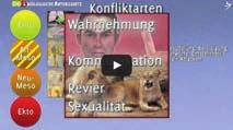 Weiterführende Informationen Die 5 biologischen Naturgesetze Video, 2:17 Stunden www.youtube.com/watch?