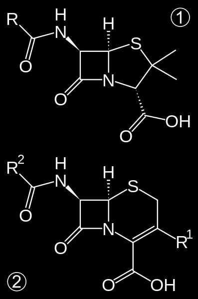Carbapeneme 1. Penicilline 1. 2. Cephalosporine (3./4. Generation) 3.