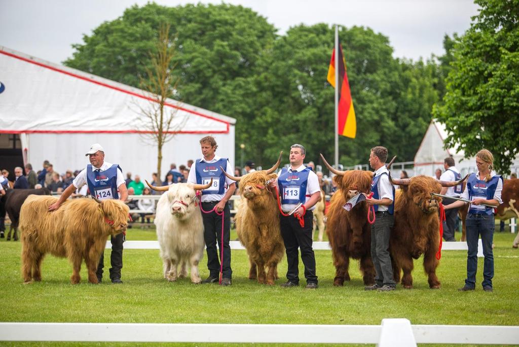 Beste Betriebssammlung BraLa 2018 Siegerkollektion Highland Cattle von Roberto Bock,
