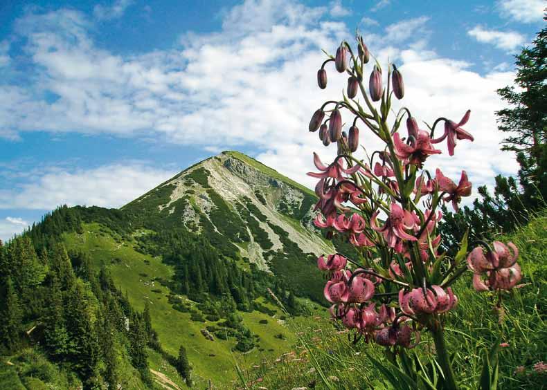 Die Bergsteigerdörfer sind eine Initiative des Deutschen Alpenvereins, Österreichischen Alpenvereins, des Alpenvereins Südtirol und des Alpenvereins Slowenien.