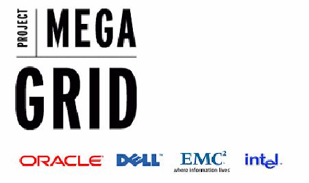 Oracle wir lernen gemeinsam aus Erfahrung Aus dem Projekt MEGAGRID: Practical Guidance for Deploying Large Clusters of Grid (Ein Oracle, EMC, Dell, Intel Joint Technical White Paper - Dezember 2004)