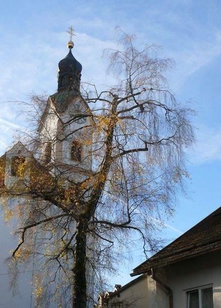13 Bad Kohlgrub, Kirche, gestutzte Birke In Bad
