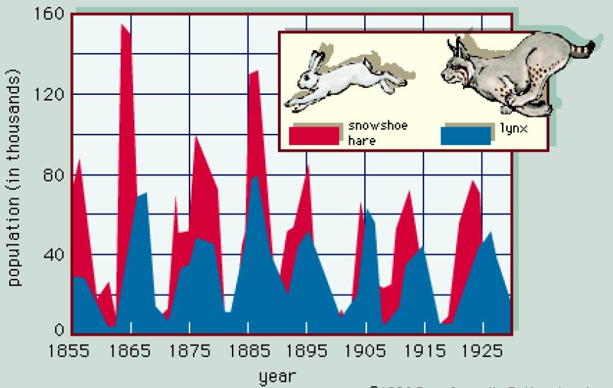 Hase und Jäger i ganz noralen Leben sind die Zusaenhänge oft kopliziert Gegenseitige Abhängigkeiten Schneehasen S( Beutepopulation ds(/dt zeitliche Änderung der Beutepopulation S (S( natürliche