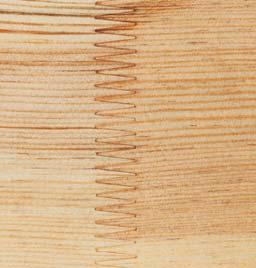 Quellen und Schwinden Eine exakte Bestimmung der Holzart ist auch für Fachleute häufig nicht möglich.