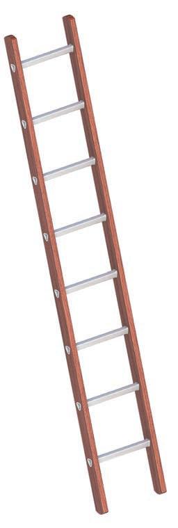 1029 Extension ladder TOPIC 1035