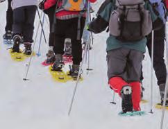 LVS Training Bei euren Ski-/Schneeschuhtouren, Skivariantenabfahrten und beim Eisfallklettern darf es auf keinen Fall zu einer Lawinenverschüttung kommen!