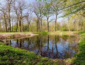 Seit den 1960er Jahren ist bekannt, dass die Teiche im Park einen bedeutenden Lebensraum für Amphibien darstellen.
