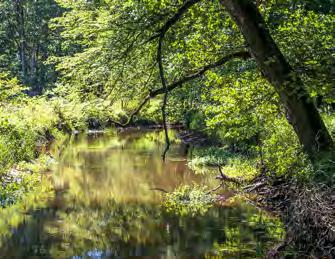 Auf ihrem Weg wandelt sie sich mehrmals und präsentiert sich mal als monotones, begradigtes Regelprofil, mal als naturnahe, mäandrierende Schönheit.