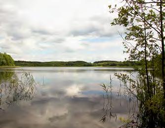Flächenmanagement 42 43 10 Natürliche Seen naturnah erhalten Mit etwa 2.800 Standgewässern, die größer als ein Hektar sind, ist Brandenburg eines der seenreichsten Bundesländer Deutschlands.