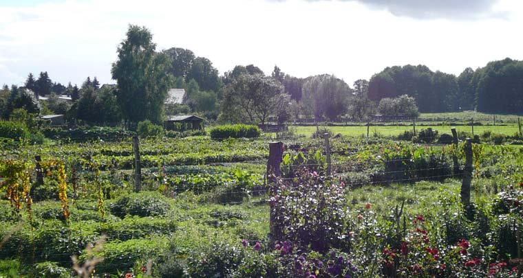 Landschaft Gärten im Westen_Durchgehend angelegt und gepflegt - Gärten