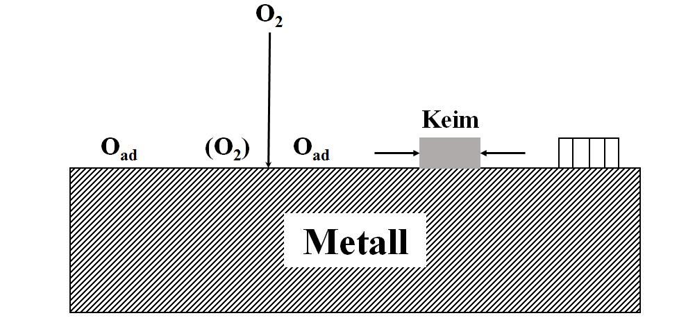 7. Startvorgänge der Oxidation 6 Abbildung 7.: Teilschritte der Oxidation Die Keime wachsen epitaktisch.