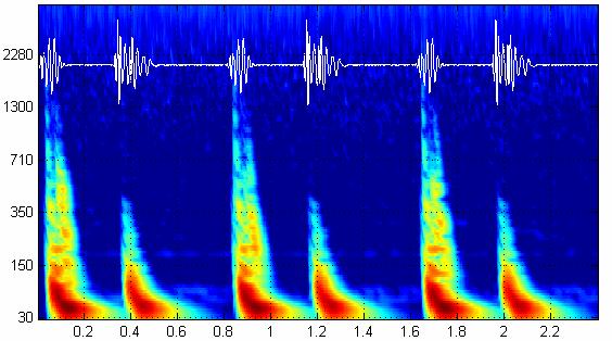 ersärker Spannung () m m m μ μ μ inrazelluläre Spannungsmessung el mech mwandler EEG EKG EMG KG () < () und : gleiche Funkionen ( + ) ( ) ( ) ( ), wo > gleich: