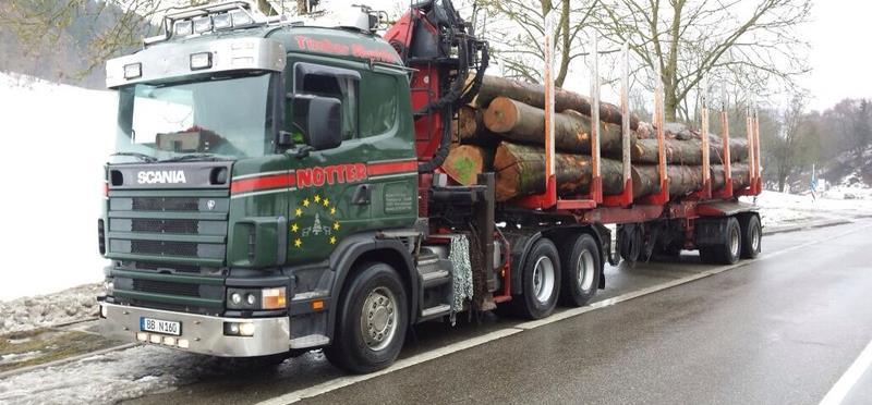 Wald - Baum - Holz Transport Auf dem Weg vom Baum zum Holzprodukt lauern Gefahren (Knigge und Schultz