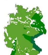 Lokale Rodungen Wald - Baum - Holz Waldnutzung Urwald 90% Laubwald (Buche / Eiche) Kulturwald 2/3 Nadelwald (Fichte / Kiefer) Ziel: Naturnahe Wälder 1000 1400 1750 1980 Heute