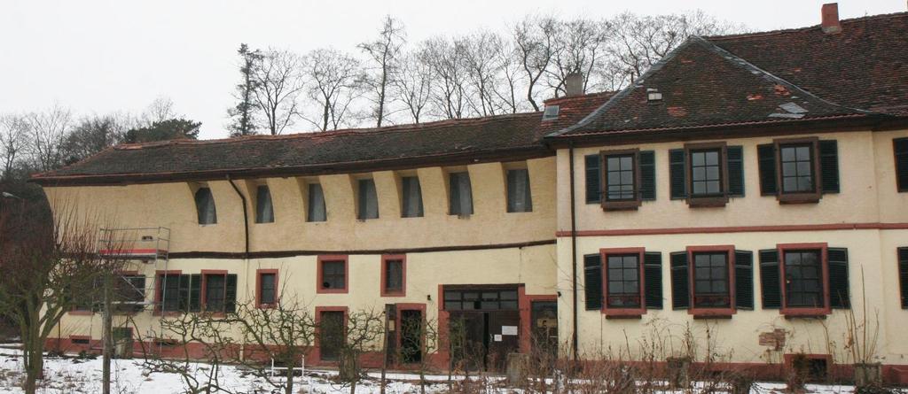 Holzanatomie Holzartenbestimmung im Bestand, Beispiel Denkmalgeschützte ehemalige Orangerie, Donnersbergkreis, Rheinland- Pfalz; Baualter ~1740; massives EG,