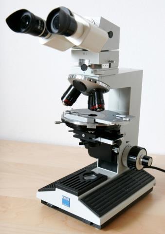 - Mikrotom - Astform und besonderheiten - Durchlichtmikroskop 500 -fach -Maßstab - Mikroskopierzubehör, Objektträger, -