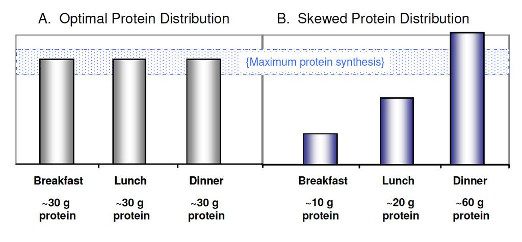 Protein wann und wieviel?