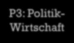 Gesellschaftswissenschaftliches Profil P1: