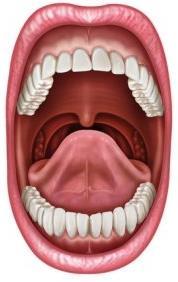 Risikofaktoren für oralen M. Crohn Zahnpasta? Sullivan SN. Hypothesis revisited: toothpaste and the cause of Crohn's disease. Lancet 1990. Rauchen? Cosnes J.