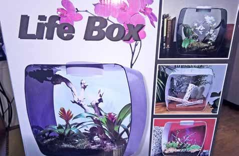 Reptilien Life Box und Life Pyramide: «Setzen Sie Ihrem Wohnbereich neue Akzente und nutzen Sie die vielfältigen Möglichkeiten der Life Box. (.).