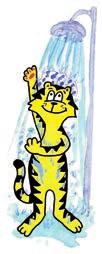 .. An allen geraden Tagen geht der Tiger duschen.