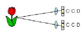 AF (Kontrastmessung): Der Video AF bestimmt den Kontrast im CCD Signal.