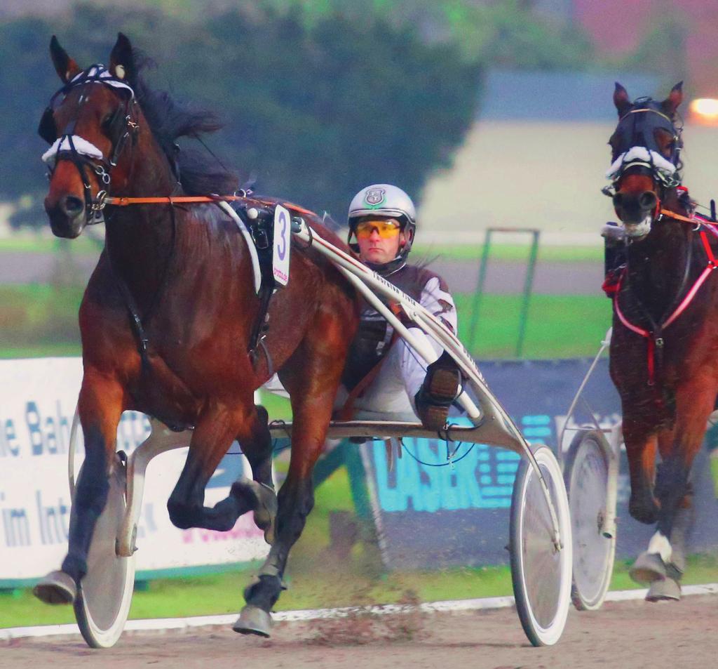 Wir drucken es sportlich Foto Marius Schwarz / traberpixx.de Höchstleistungen erreichen auch im Druck Im Sport sorgen Motivation und Ehrgeiz für erfolgreiche Ergebnisse, beim Druck auch.