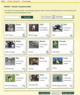 Besuchen Sie unseren virtuellen Tierfriedhof! Hier finden Sie einen Platz zum Trauern!