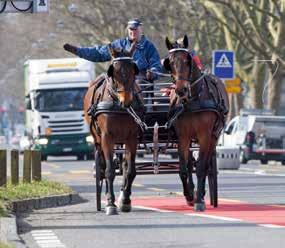 Reiterverband Pfannenstiel Besten Dank! Durch die Einhaltung dieser einfachen Verhaltensregeln tragen Sie wesentlich zur Verkehrssicherheit und Unfallverhütung bei.