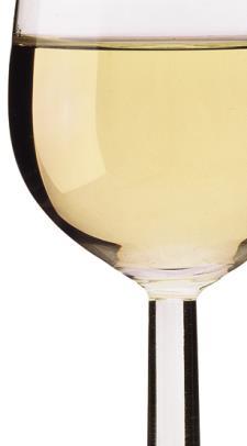 FINO blasseste, leichteste Weine (normalerweise erste Pressung), aufgespritet bis 15,5% Alk.
