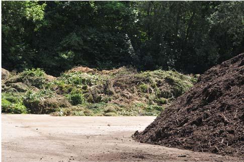 org) Kompost als Substratzuschlagstoff Einleitung: die Recyclingsdünger Hygienische Aspekte von Kompost und Gärgut Einfluss von Kompost