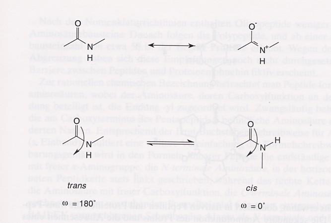 Peptide Peptidbindungen (a) Mesomere