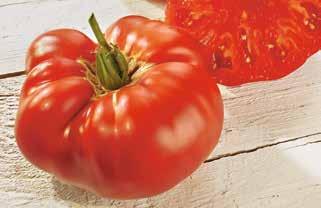 Man kann sie beim Kochen für alles verwenden. Sie passen in jedes Tomaten-Gericht. Fleisch-Tomaten Fleisch-Tomaten werden sehr groß. Sie sind kräftig im Geschmack.