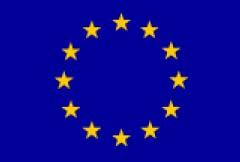 GHS Gobally Harmonized System Umsetzung in der EU Die EU entschließt sich GHS als Verordnung umzusetzen: 2006-1.