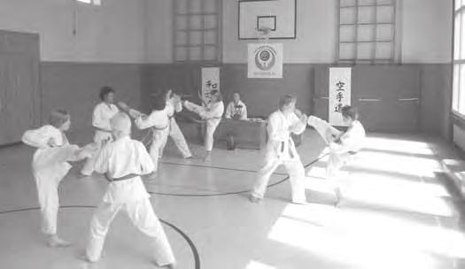 Marco Stelljes widmete sich der interessanten Thematik der Nervendruckpunkte in den Karate Katas, einem Thema, das bei vielen Karateka nahezu unbekannt ist.